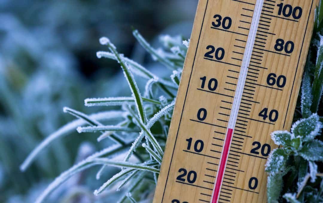 Featured image for “Terapia a frio: entenda como ela age na dor e na inflamação”